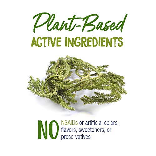 Lycopodium Clavatum 30C for Bloating Relief