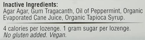 Homeopathic Stress Relief Mints - 30 Count