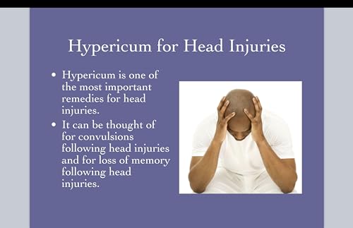 Hypericum Perforatum Cream 6-Pack Bundle