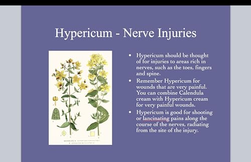 Hypericum Perforatum Cream 6-Pack Bundle