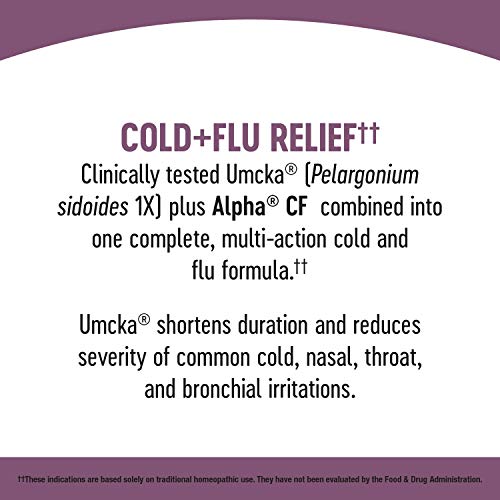 Umcka Cold+Flu FastActives - Berry Flavor, 10 Packets