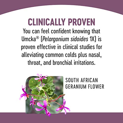 Nature's Way Cold & Flu Relief Syrup, Berry