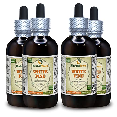 White Pine Tincture Liquid Extract - HerbalTerra 4x4 fl.oz