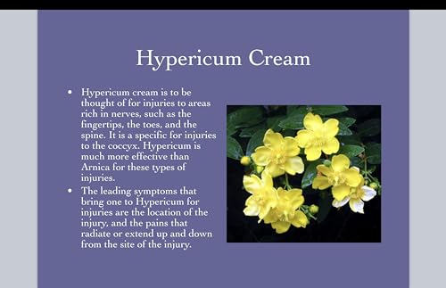 Hypericum Perforatum Cream 12-Pack by First Aid