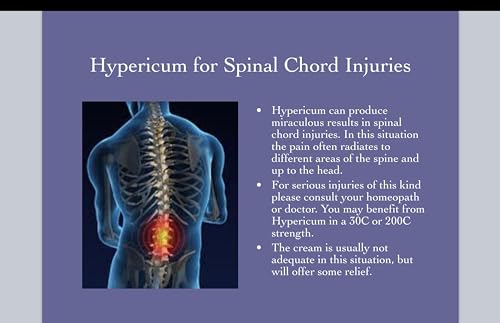 Hypericum Perforatum Cream 12-Pack by First Aid