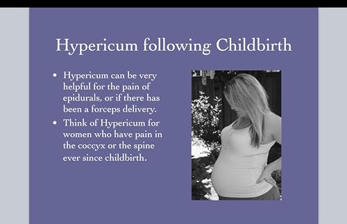 Hypericum Perforatum Cream 12-Pack by First Aid