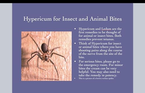 Hypericum Perforatum Cream 12-Pack by First Aid