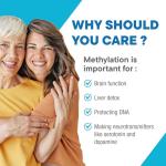 Methylated Multivitamin for Energy and Wellness