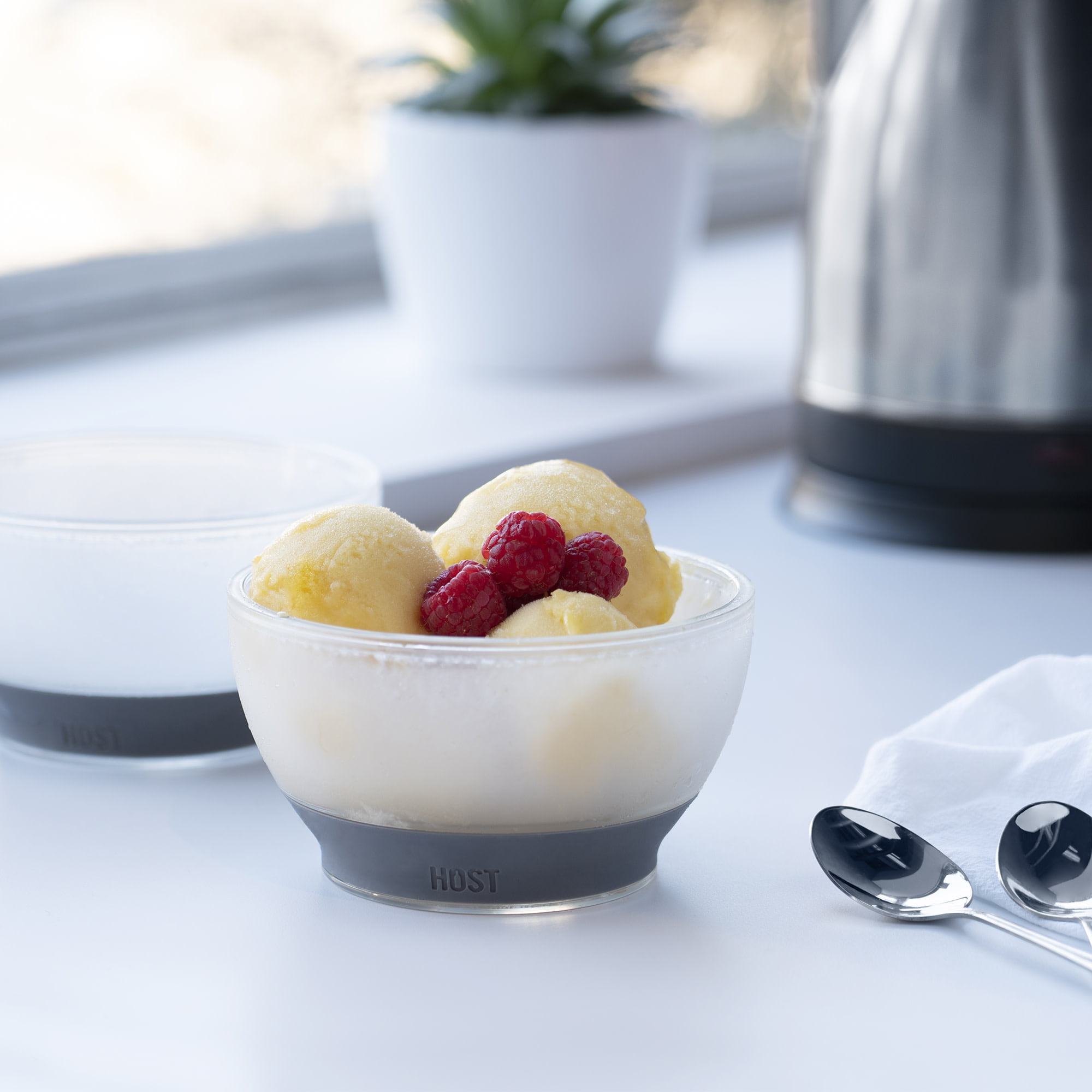 Double Insulated Host Ice Cream Bowl