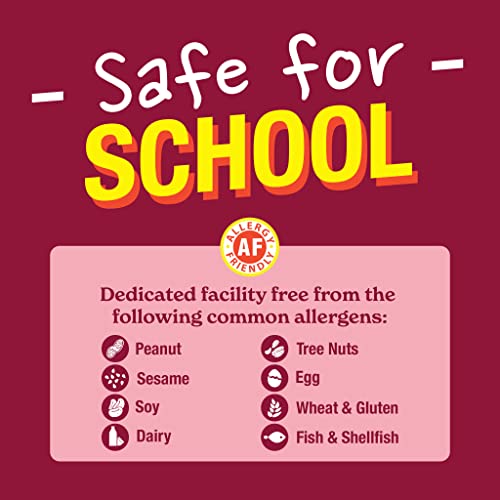 Mixed MadeGood Granola & Cookies Minis (28)