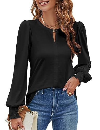 Blooming Jelly Womens Long Sleeve Dressy Casual Top V Neck Loose Fit Tee Shirt Work Blouse 2024 (Large, Black)