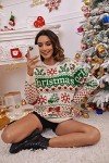 Amegoya Women's Pullover Sweaters Crew Neck Holiday Ugly Christmas Sweater for Women(Green XL)