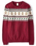 Gymboree,Pullover Sweater,Fairaisle,XSmall (Adult)