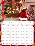 RSLOVE Women Christmas Lingerie Set 3 Piece Sexy Santa Babydoll Red Chemise with Belt and Cuffs Red S