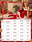 RSLOVE Sexy Christmas Lingerie For Women Santa Babydoll Chemise Red Costume with 4PCS Garters Belt Red S