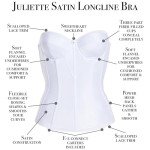 Dominique Women's Longline Corset Full Figure Bustier Bra #8950 (32A-52G)