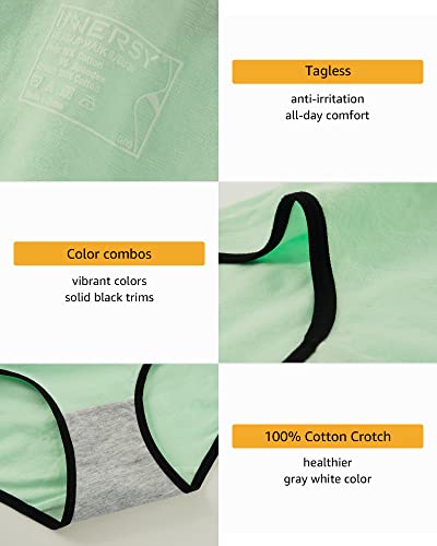 INNERSY Womens Underwear Cotton Hipster Panties Regular & Plus Size 6-Pack(Spun Sugar,Medium)