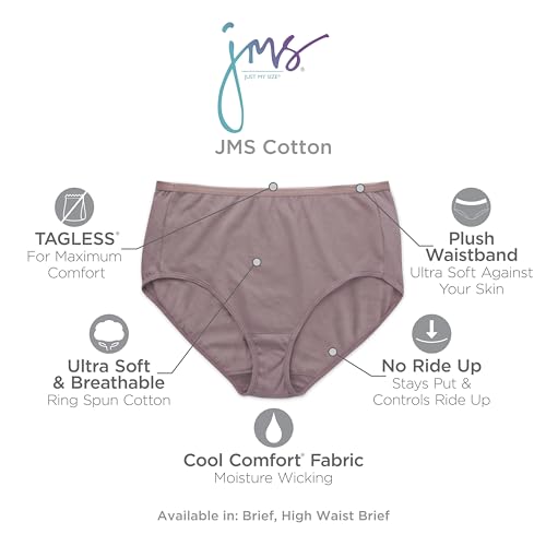 Hanes Women's Plus Size Cool Comfort Cotton Brief 10-Pack, Assorted, 11