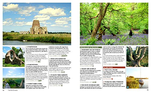 Wild Guide: Car Camping Destinations in England's South-East