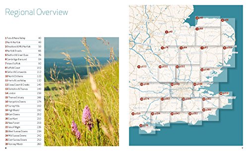 Wild Guide: Car Camping Destinations in England's South-East