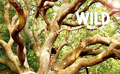 Wild Guide: Car Camping Destinations in England's South-East