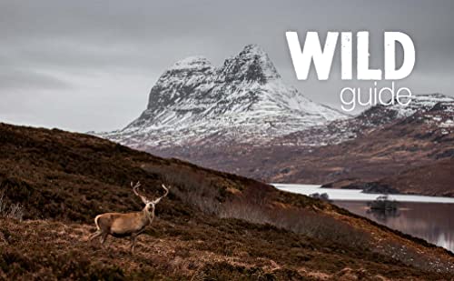 Wild Guide Scotland: Hidden spots, adventure & good life