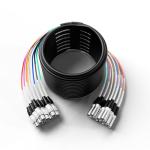 Proreck 100ft 8-Channel XLR Audio Cable