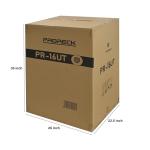 ProReck 16U Rack Case with Slant Mixer Top