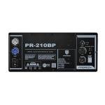 Proreck Dual 10'' Powered Array Speaker System