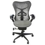 Herman Miller Mirra 1 Grey Graphite Task Chair