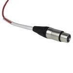 Proreck 12-Channel XLR Splitter Cable, 100 Feet