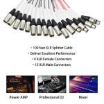 Proreck 12-Channel XLR Splitter Cable, 100 Feet