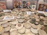 Rare Coins and Bullion Collection for Sale