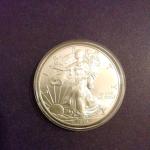 2015 American Silver Eagle Coin - .999 Fine Silver