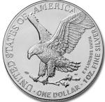 2026 1 oz Silver American Eagle Coin