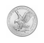 2025 1 oz American Silver Eagle Coin