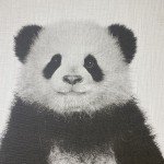PANDA Framed Canvas Wall Art - 24x18 Inches