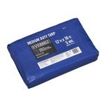 Everbilt 10'x12' Medium Duty Blue Tarp