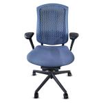 Herman Miller Celle Chair with All Features