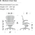 Herman Miller Aeron Chair with Lumbar Support