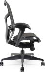Herman Miller Mirra 2 Chair with Adjustable Features