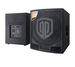 Proreck PR18 Active 18" DJ Subwoofer Cabinet