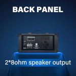 Proreck Delta 10 Bluetooth PA Speaker System