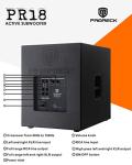 Proreck PR18 Active 18" DJ Subwoofer Cabinet