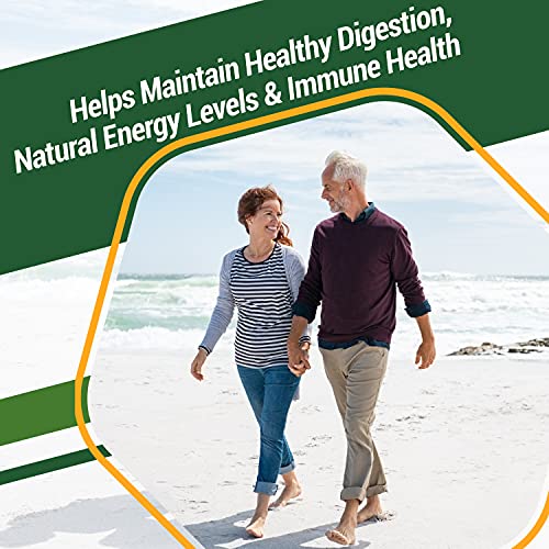 32 Superfood Capsules for Personal Taste