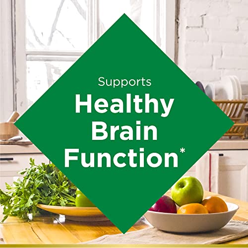 Ginkgo Biloba Memory Support Supplement, 100 Capsules