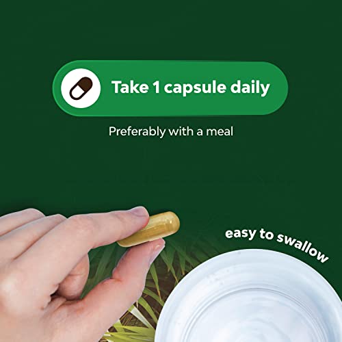 Saw Palmetto Capsules for Prostate & Hair Loss