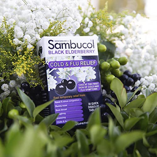 Black Elderberry Cold and Flu Relief Tablets, 30 Count