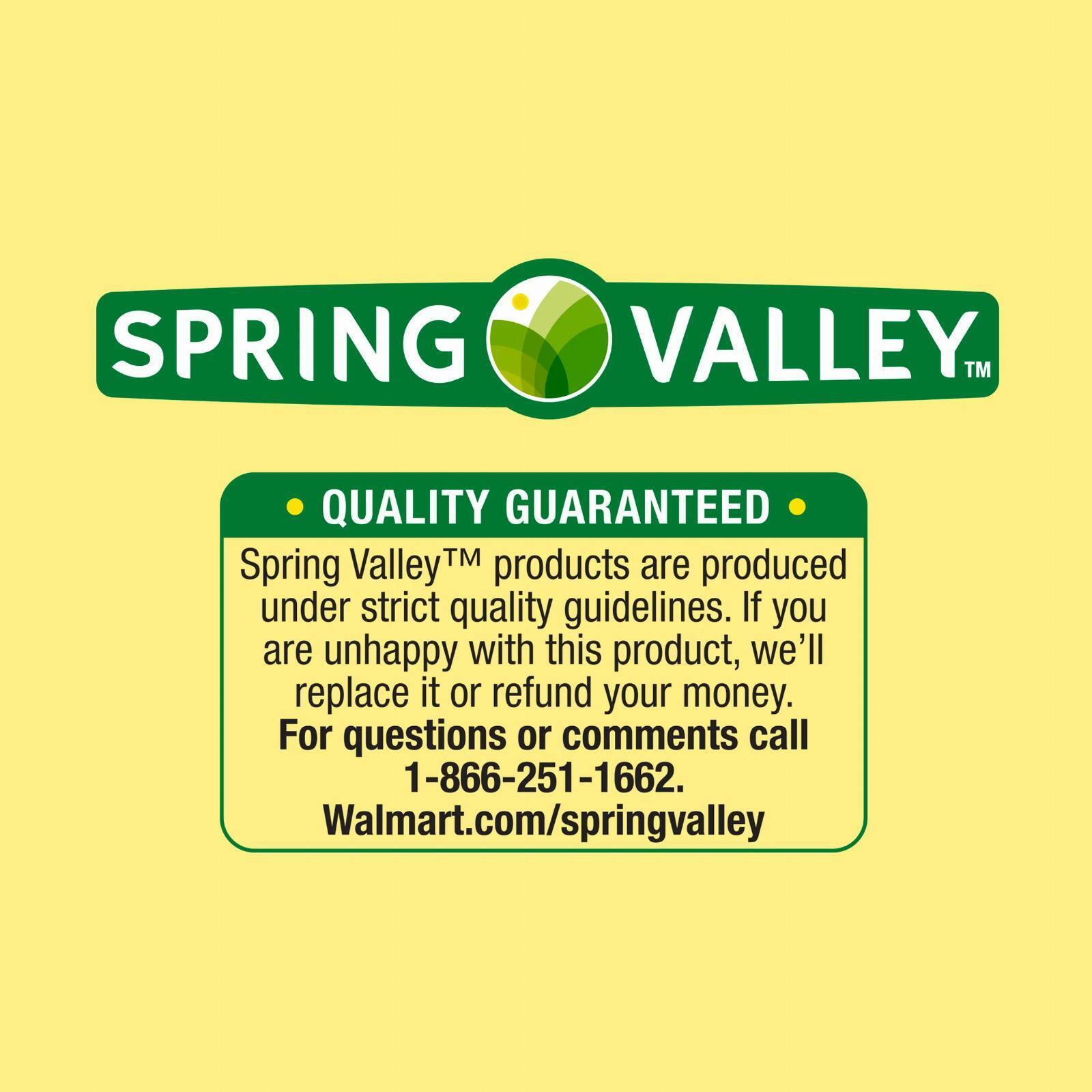 Iron Tablets - Spring Valley Twin Pack 100cnt