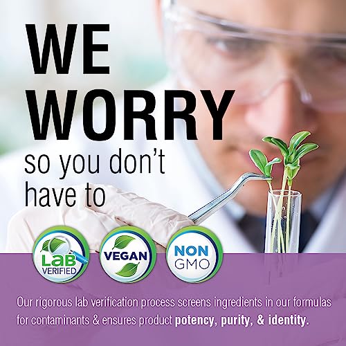 Solaray Echinacea Angustifolia Root Extract 125 mg | 60 VegCaps